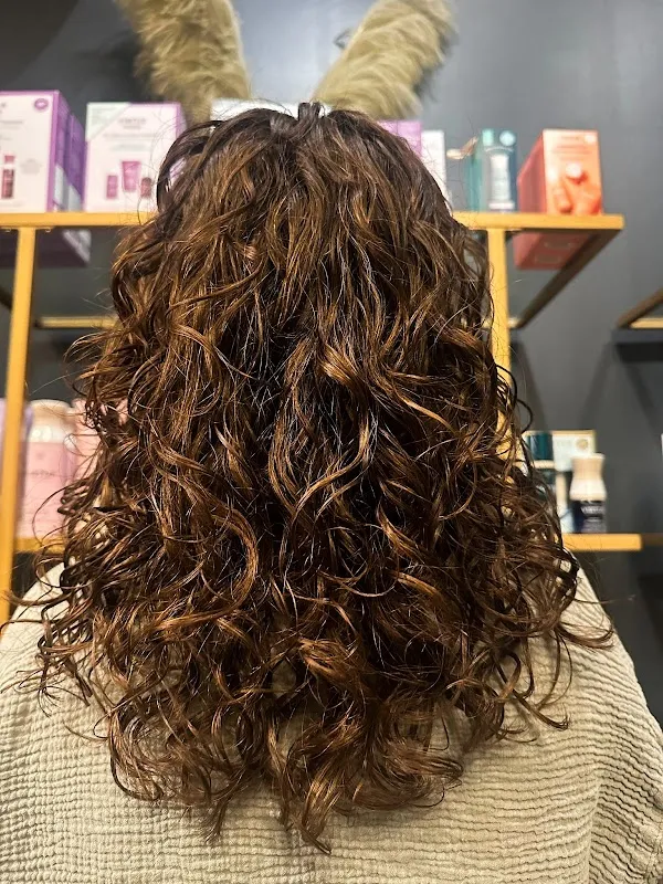 Sunday Salon