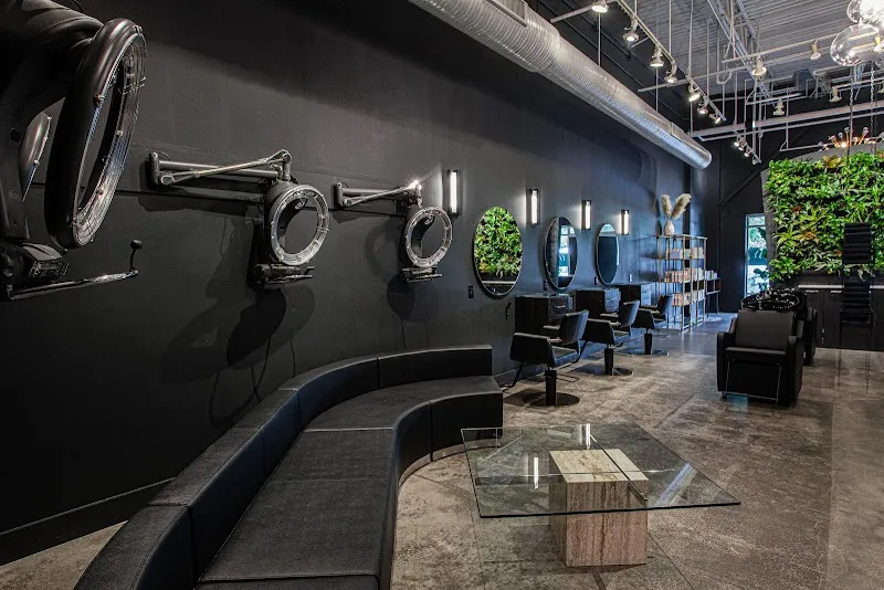 Sunday Salon