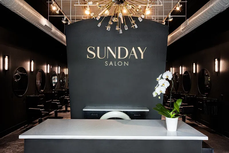 Sunday Salon