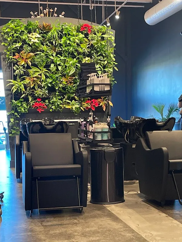 Sunday Salon