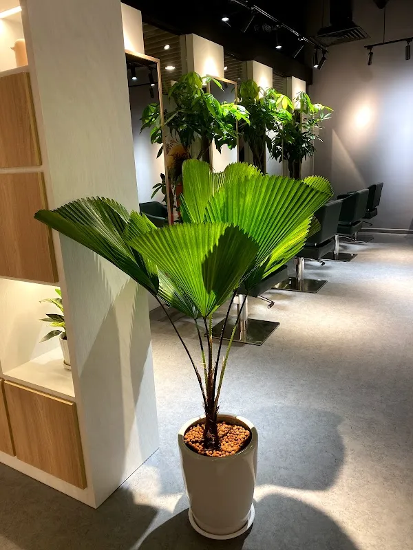 Enso Hair Studio