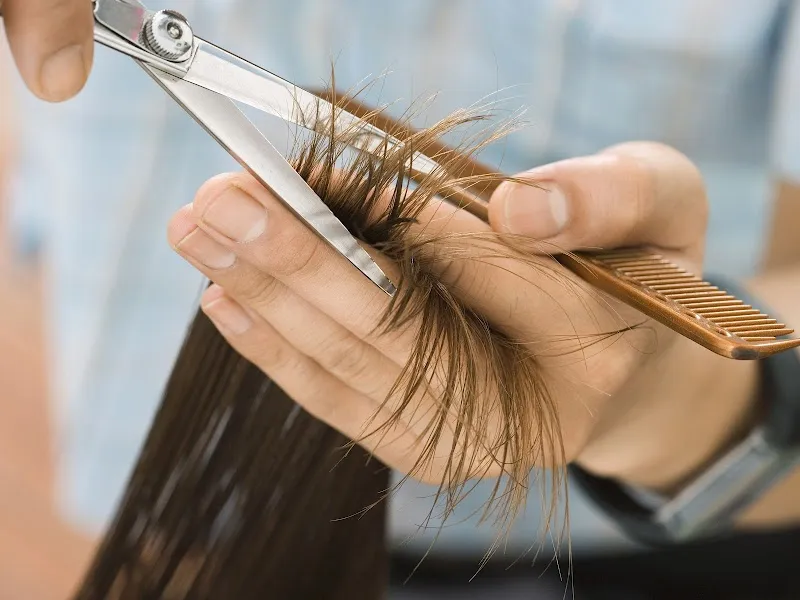 SD Family Salon