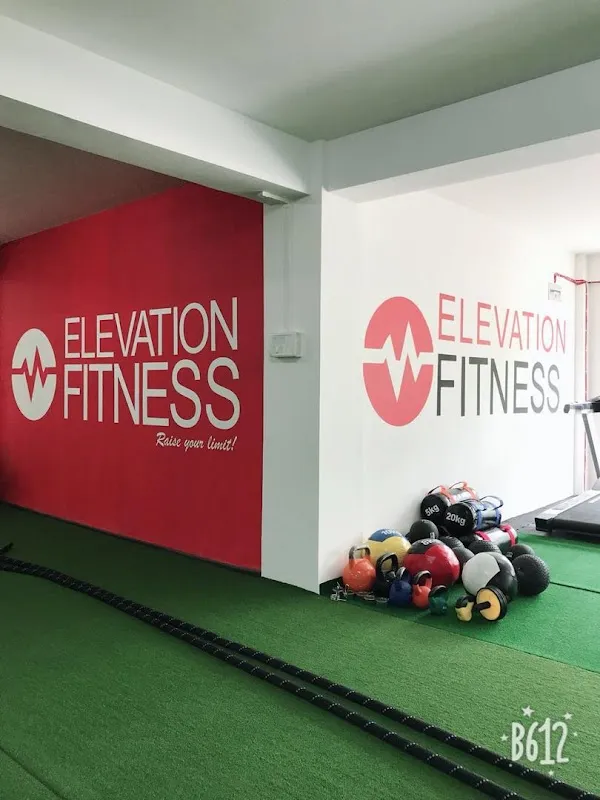 Elevation fitness