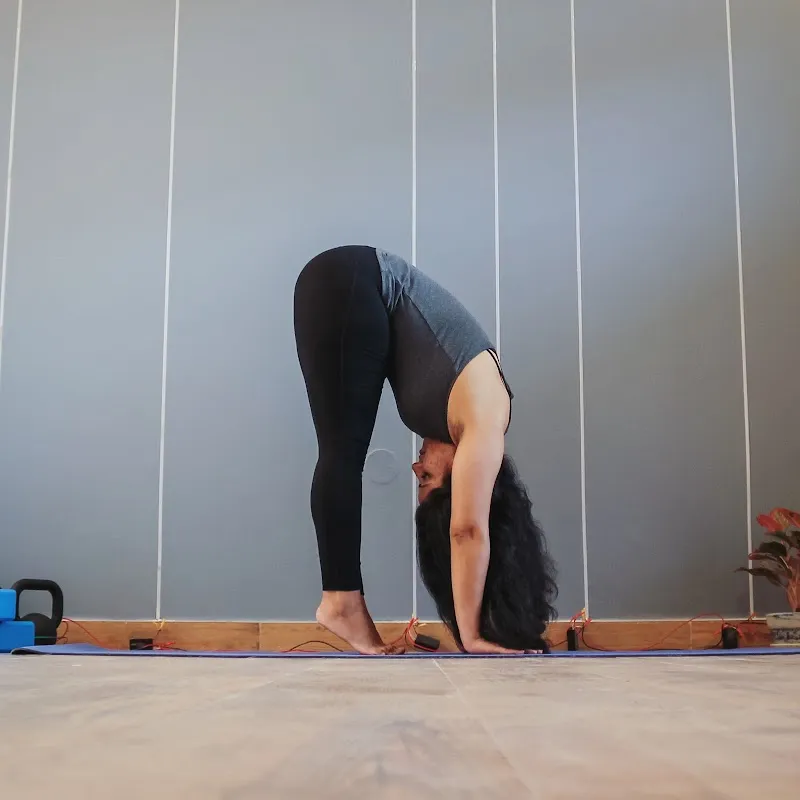 Chitranjali Yoga - Online