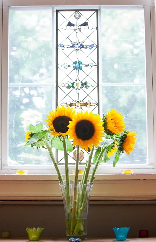 Radiate Yoga of Westchester