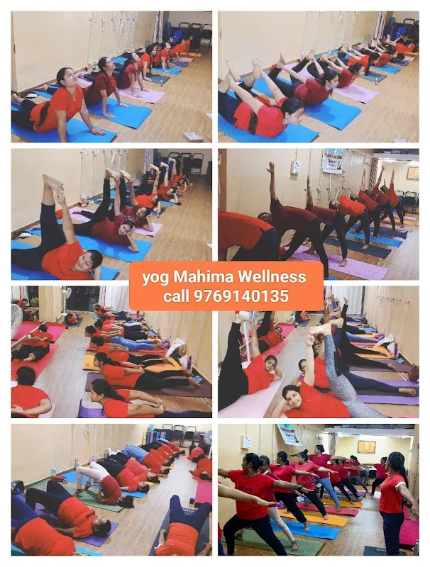 YOG MAHIMA WELLNESS
