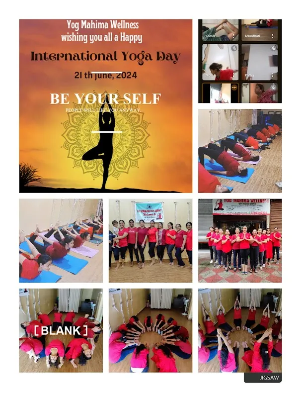 YOG MAHIMA WELLNESS