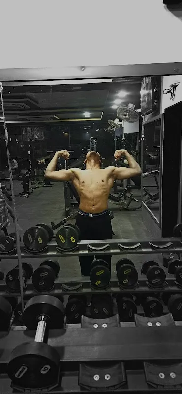 Powertec Fitness