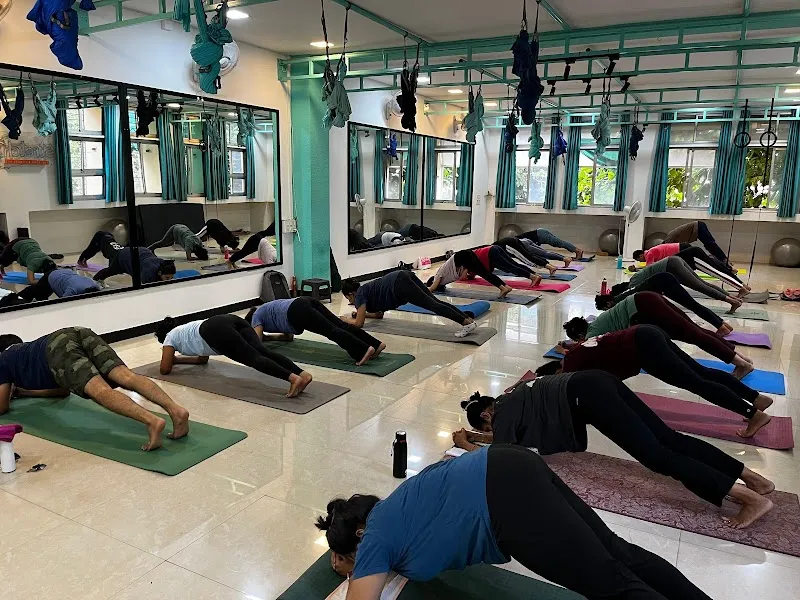 Stretch - The Yoga & Fitness Hub