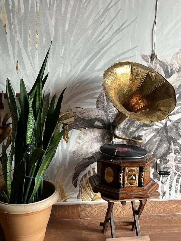 Tempo Terrace Studios