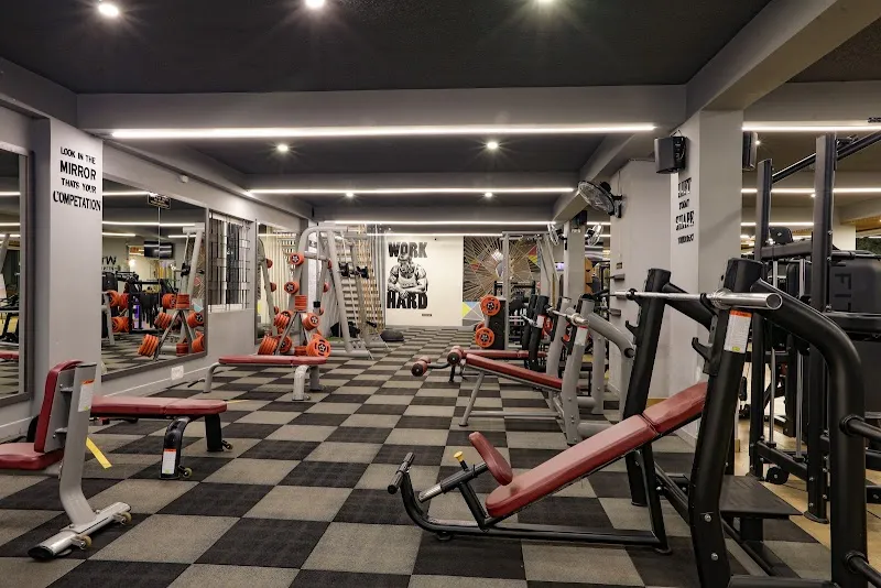 Witness the fitness