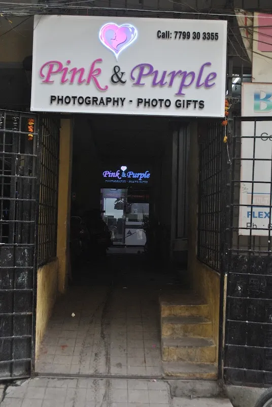 PINK & PURPLE P H O T O G R A P H Y