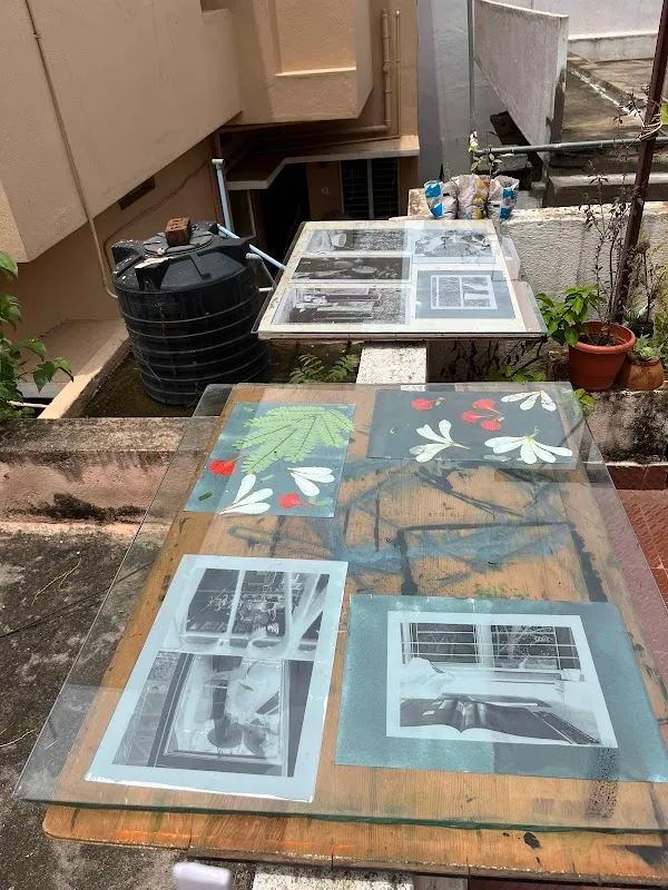 Pagal Canvas Backyard