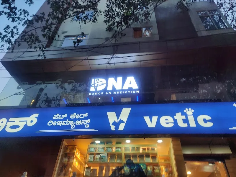 DNA Dance N' Addiction Studio