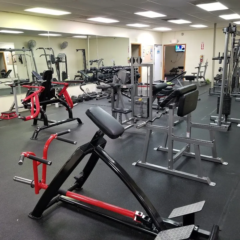 Muscles' Gym
