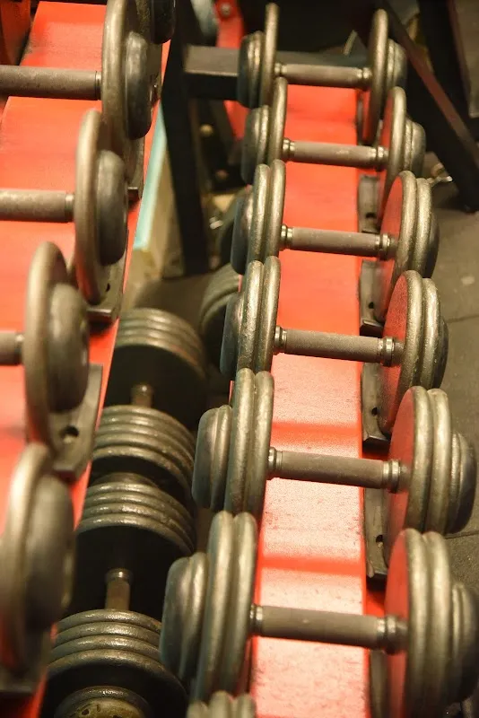 Pulse - The Fitness Zone