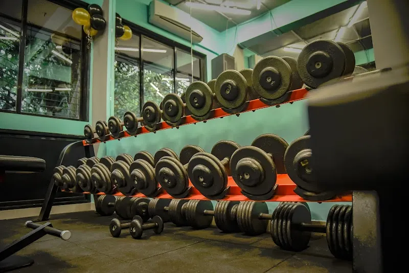 Pulse - The Fitness Zone