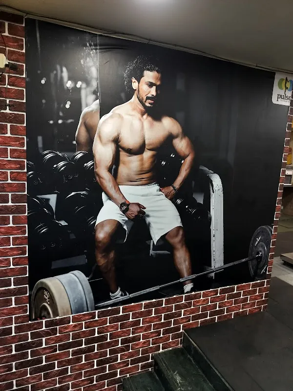 Pulse - The Fitness Zone
