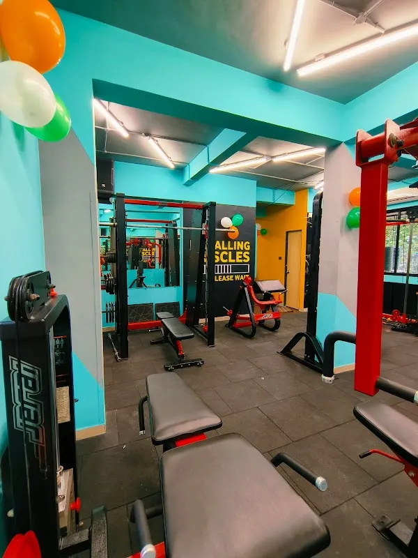 Pulse - The Fitness Zone