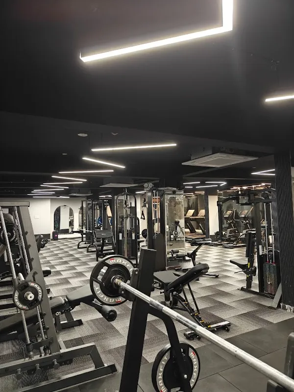 Tussle Fitness Studio