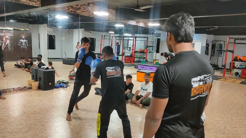 Muscleup studio