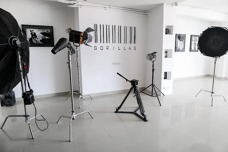 Gorillas Studios