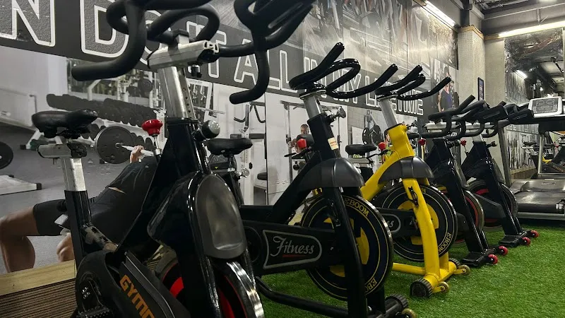 FORTUNE FITNESS-Best Gym facilities | body muscle|Fitness centre|workout |gym services in andheri east