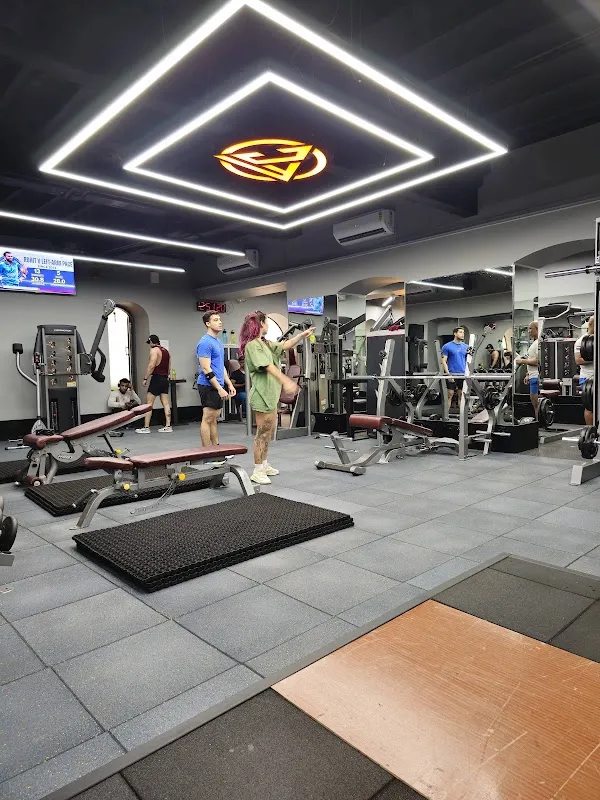 OFC Gym, Best Affordable Luxury Gym Chowpatty Mumbai