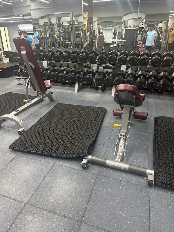 OFC Gym, Best Affordable Luxury Gym Chowpatty Mumbai