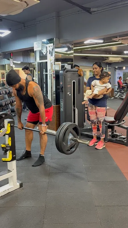Magnum Fitness