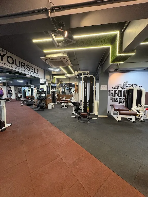 Magnum Fitness