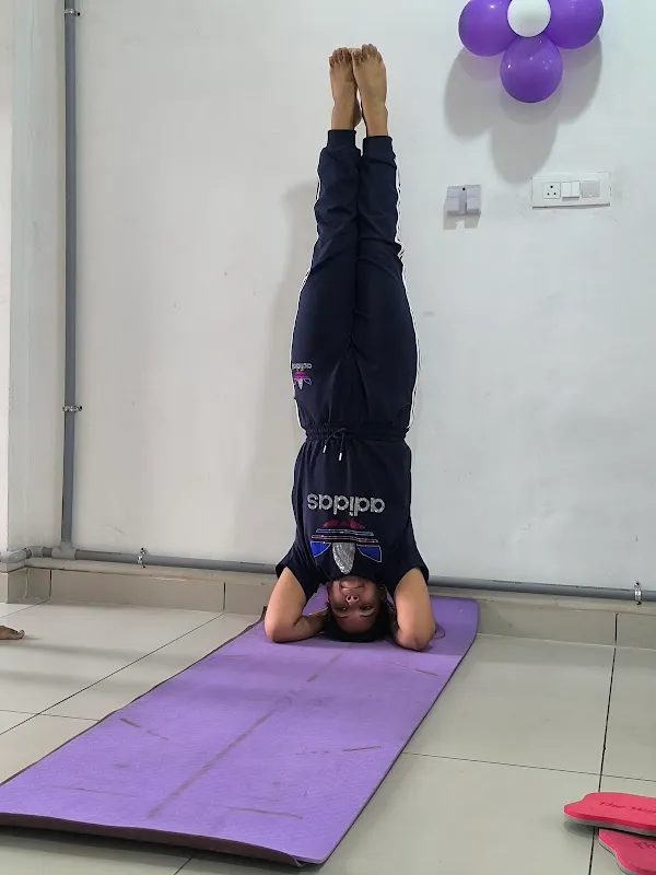 Rhythm Pilates and Yoga Studio – Best Yoga and Pilates Studio in Ludhiana