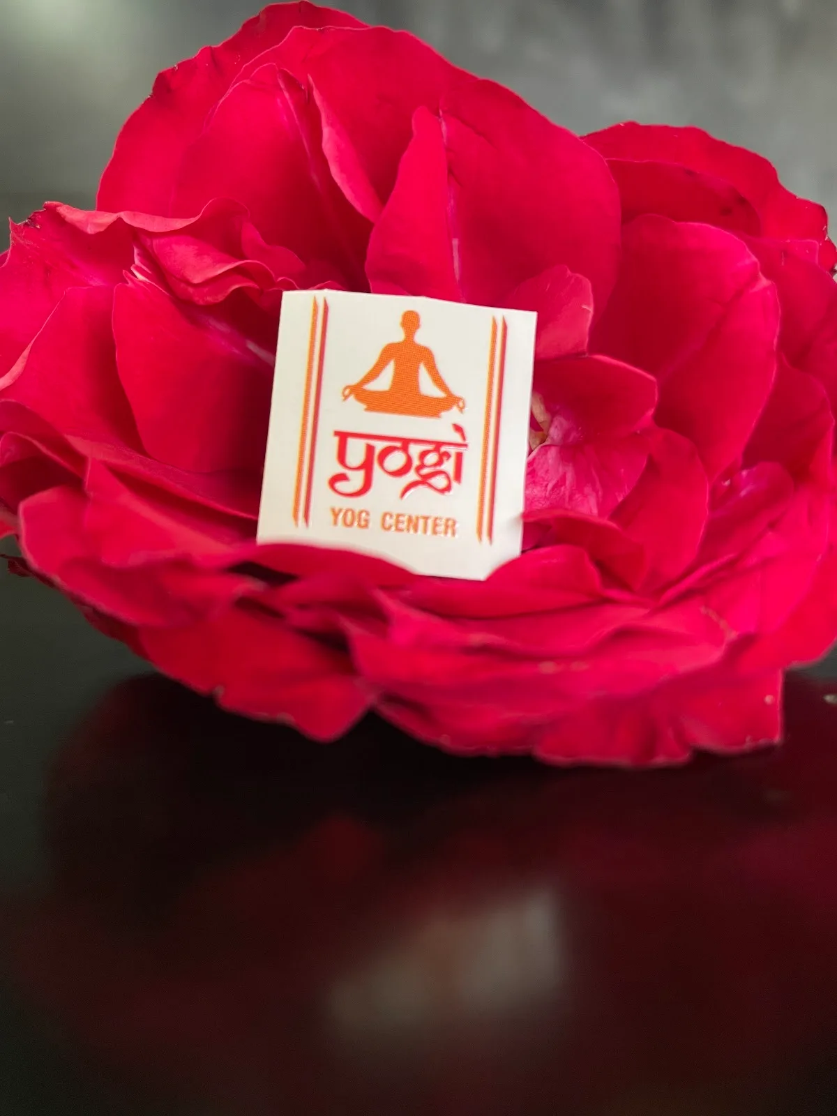 Yogi Yoga Center