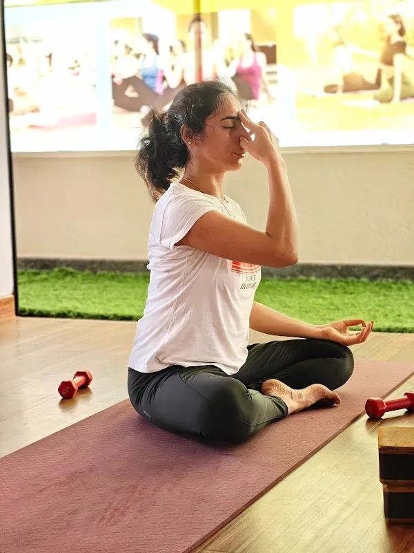 The Yoga Roots