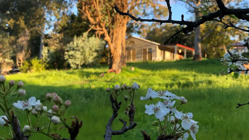 Hills Yoga Classes Midland Helena Valley Boya Darlington Glen Forrest Swan View Kalamunda Mundaring