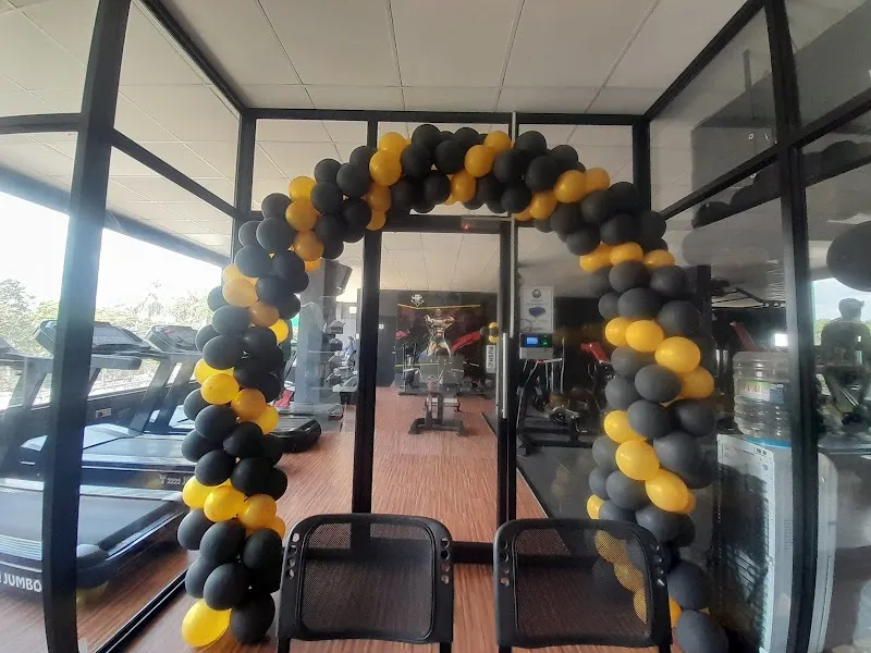 Velz Fitness Studio