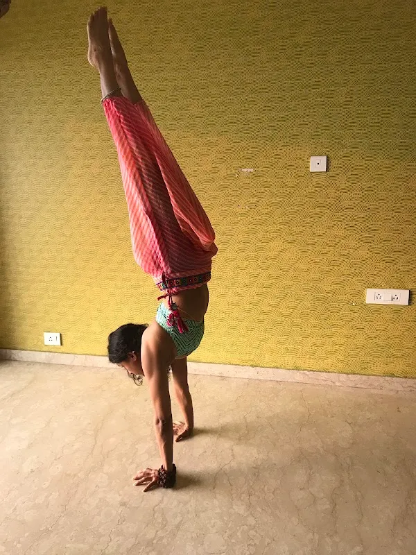 Shammi's Yogalaya