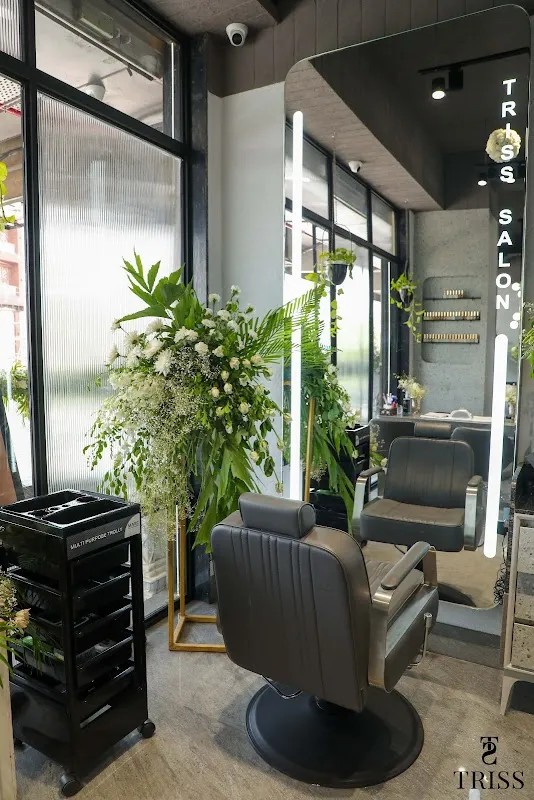 Triss Salon Agra
