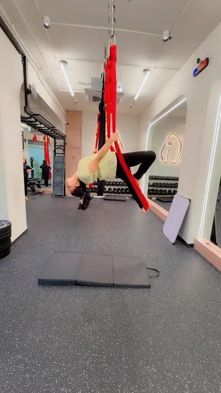 Movara : A Fitness Studio