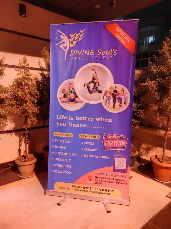 Divine Souls Dance Studio