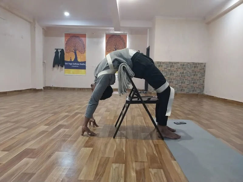 Shri Yoga Sadhana Studio (Rohini)