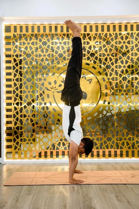 Shri Yoga Sadhana Studio (Rohini)