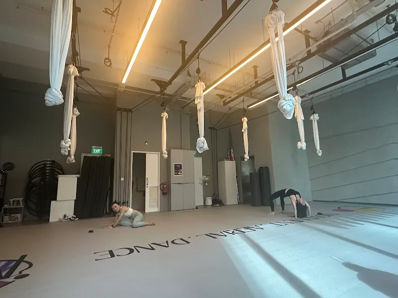 MAD Dance Studio