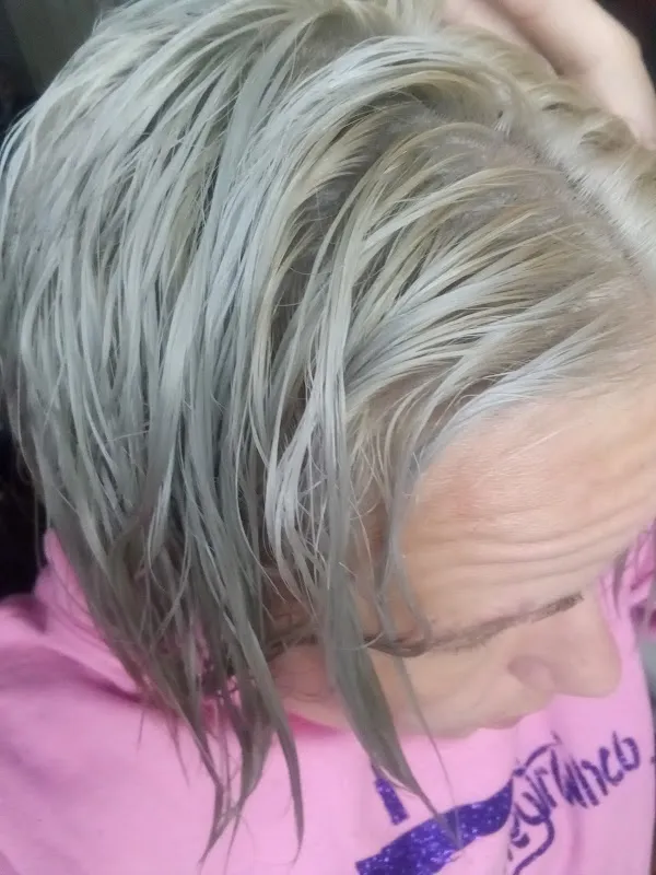 Pavo Salon
