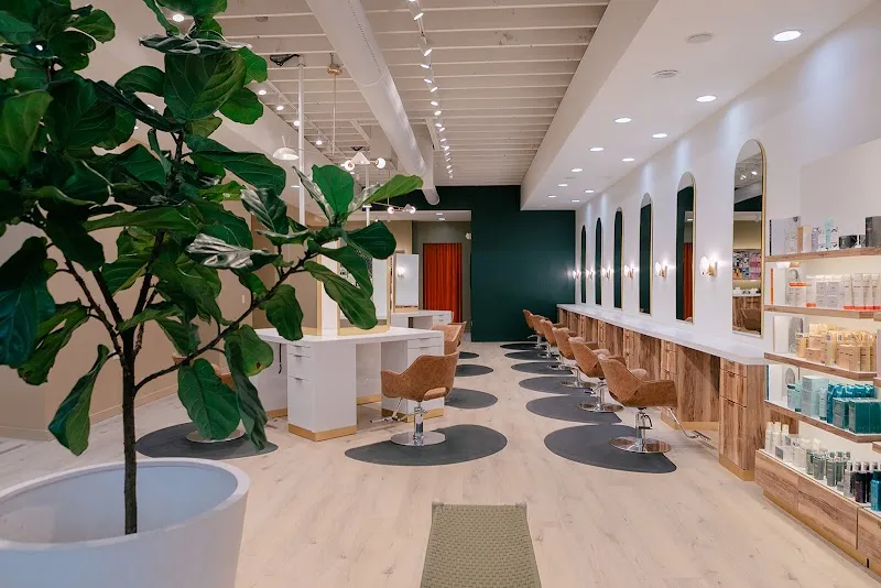 The Mae Salon & Spa