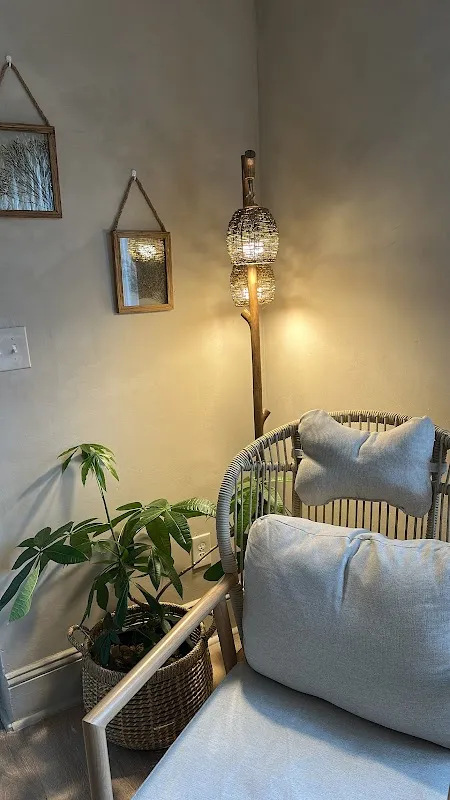 The Beauty Nest Studio