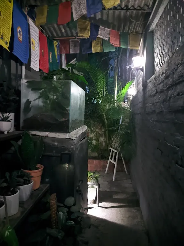 Calcutta Ink Tattoo Studio Kolkata
