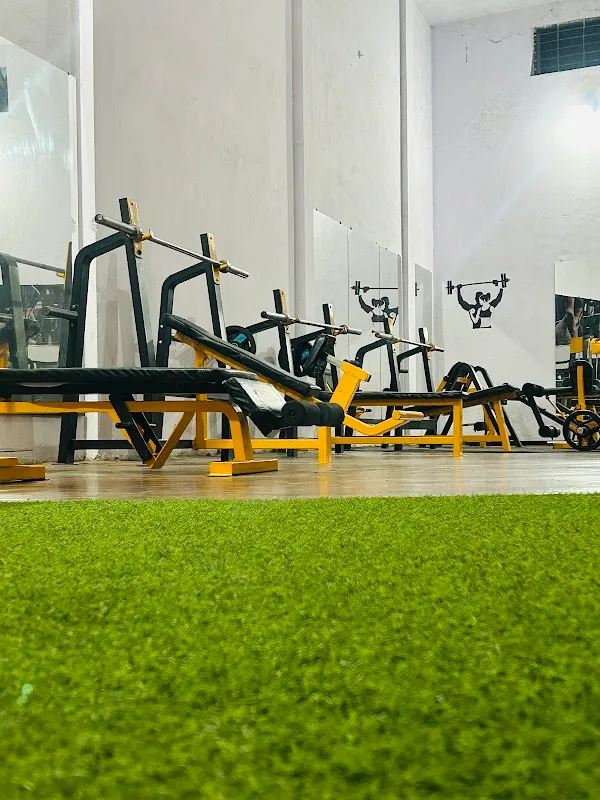 Shapeup gym