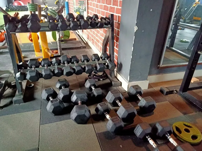 BRUTE FORCE GYM
