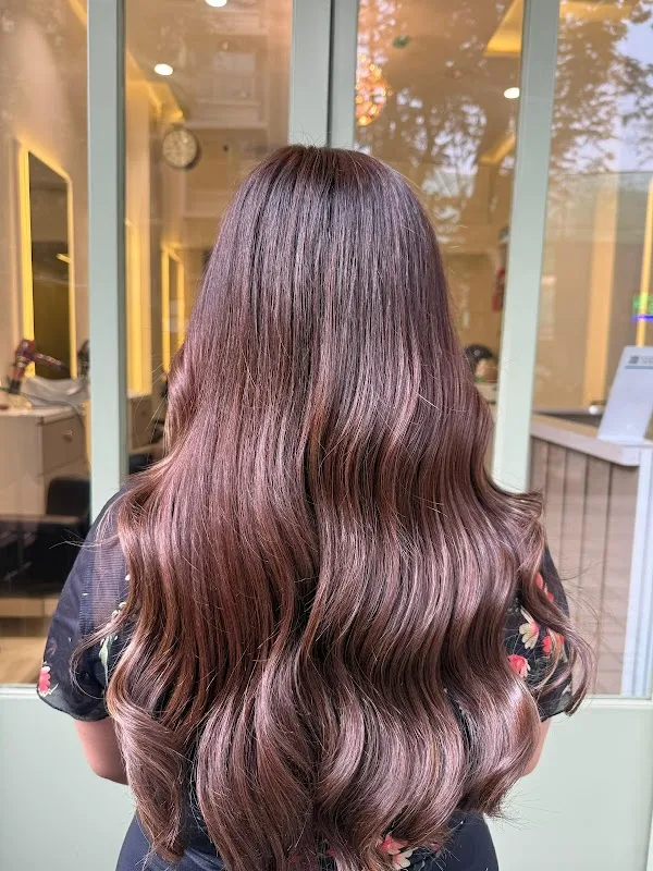 The hair story